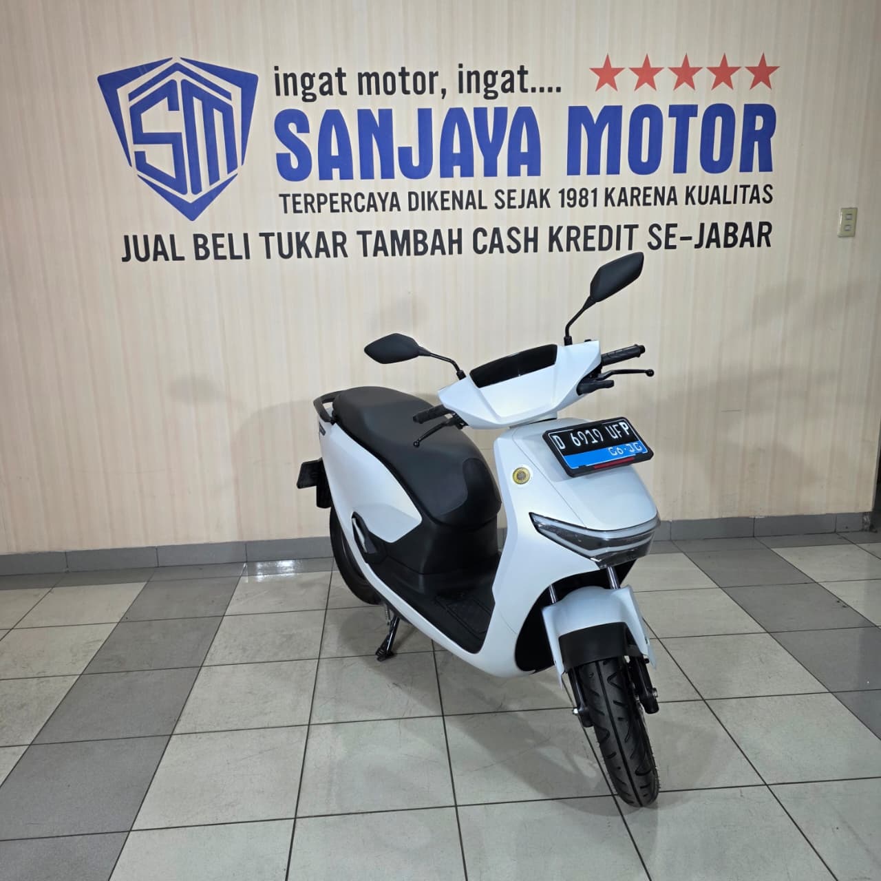 Pro 6